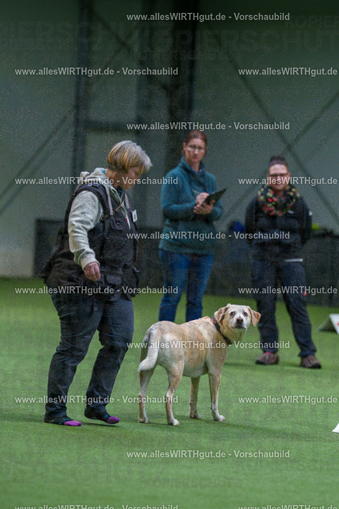 7R506310 | Professionelle Tierfotografie in Mönchengladbach von Daniel Wirth (allesWIRTHgut). Liebevolle & natürliche Bilder von Hunden & Katzen für unvergessliche Erinnerungen.