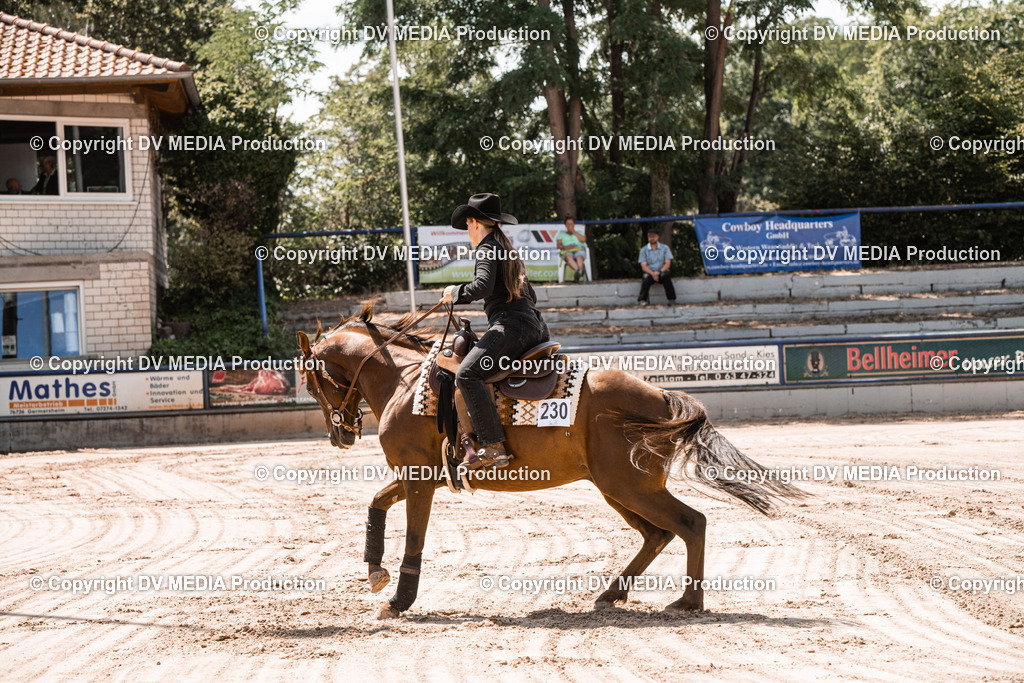 ZS3_0074 | dv-media-shop - Realisiert mit Pictrs.com