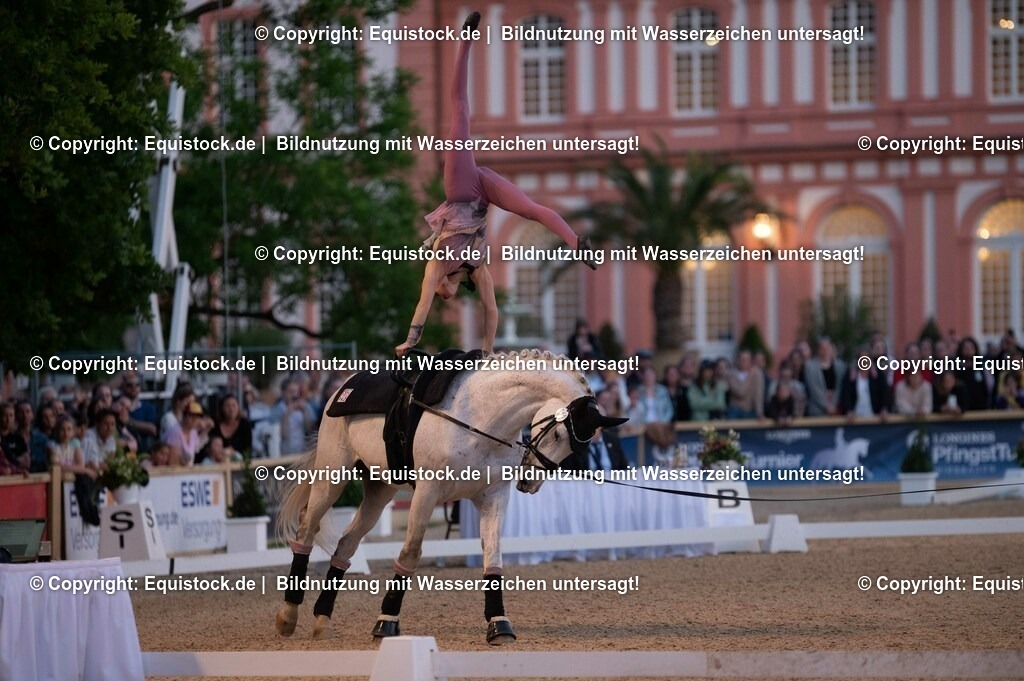 20230527_Voltigieren_NASPA_Flutlicht_0359 | equistock