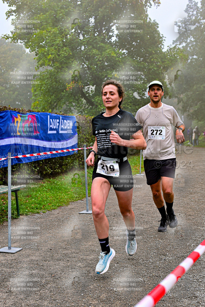 Z8N_1343 | la-psv - Realisiert mit Pictrs.com