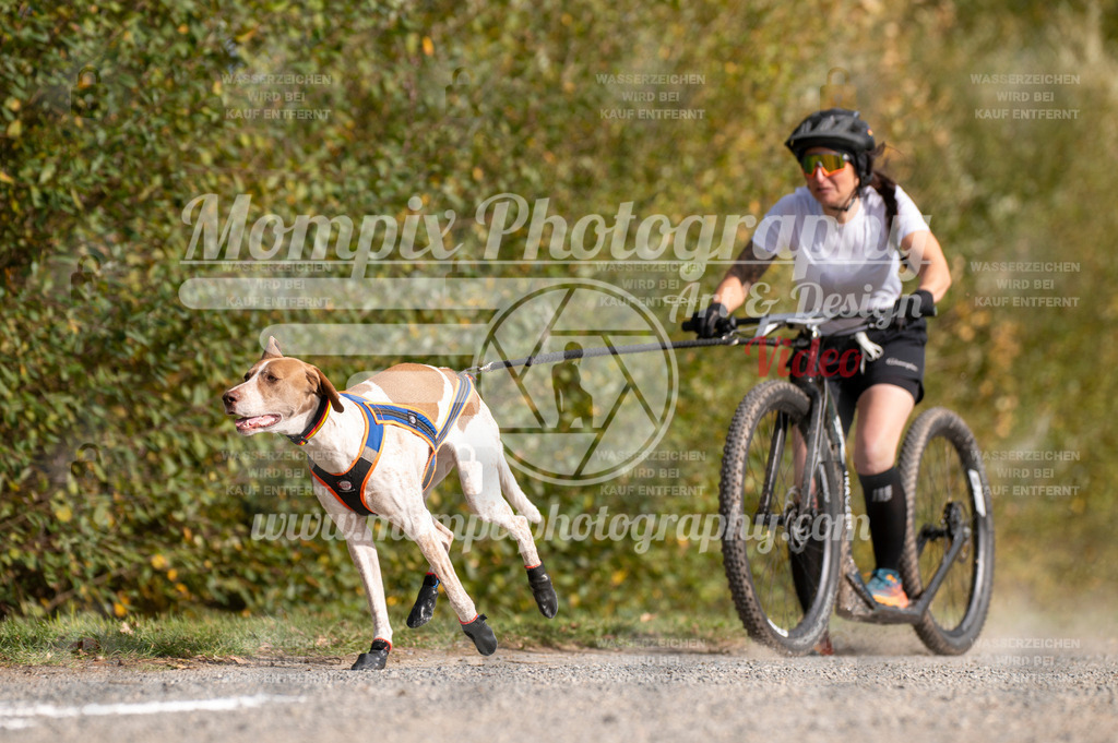 TSB_2023_E2_DS1-3 | mompixphotography