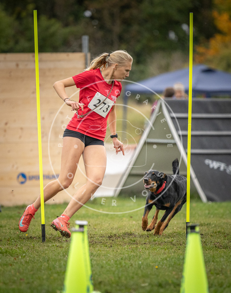 Pfotenfotografie_DV3A0297 | Hundefotografie, Tierfotograf, Pfotenfotografie, Fotoshooting Hund, Hunde Portrait, Hundesport, Hundeportraits, Heideshooting, Hunde, Sportfotograf, Hundefotograf, Turnierhundsport, THS,  - Realisiert mit Pictrs.com