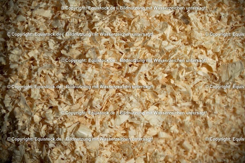 20190409_Excuisit_0006 | Foto: Thomas Hartig