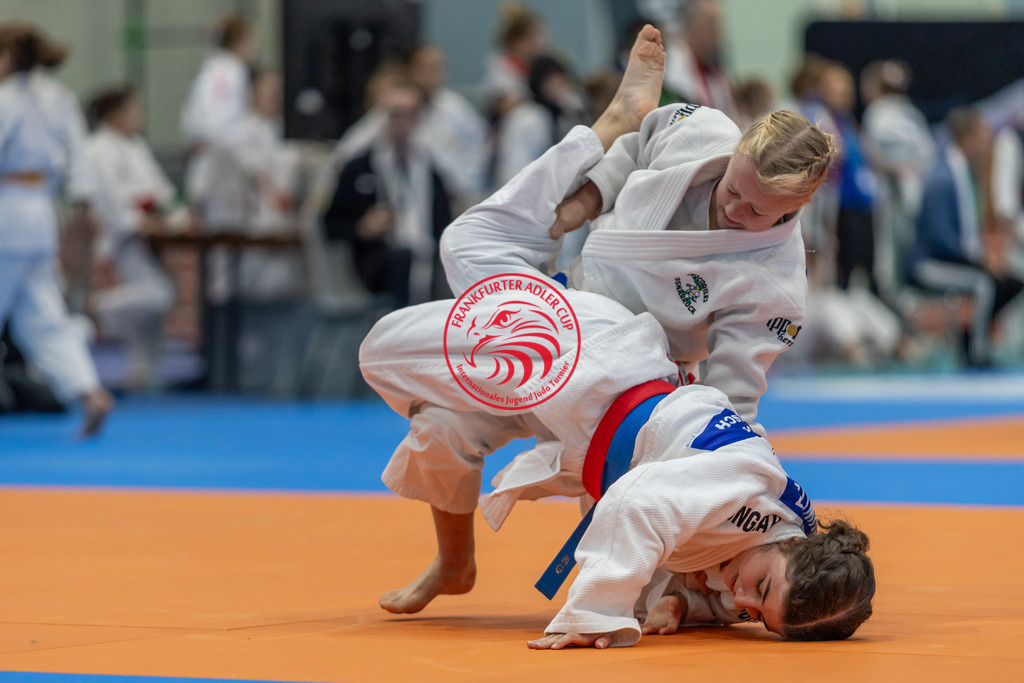 Internationaler Adler Cup 2024 | Foto vom Internationalen Adler Cup Judo Turnier im Sport- und Freizeitzentrum Kalbach im Oktober 2024 - Realisiert mit Pictrs.com