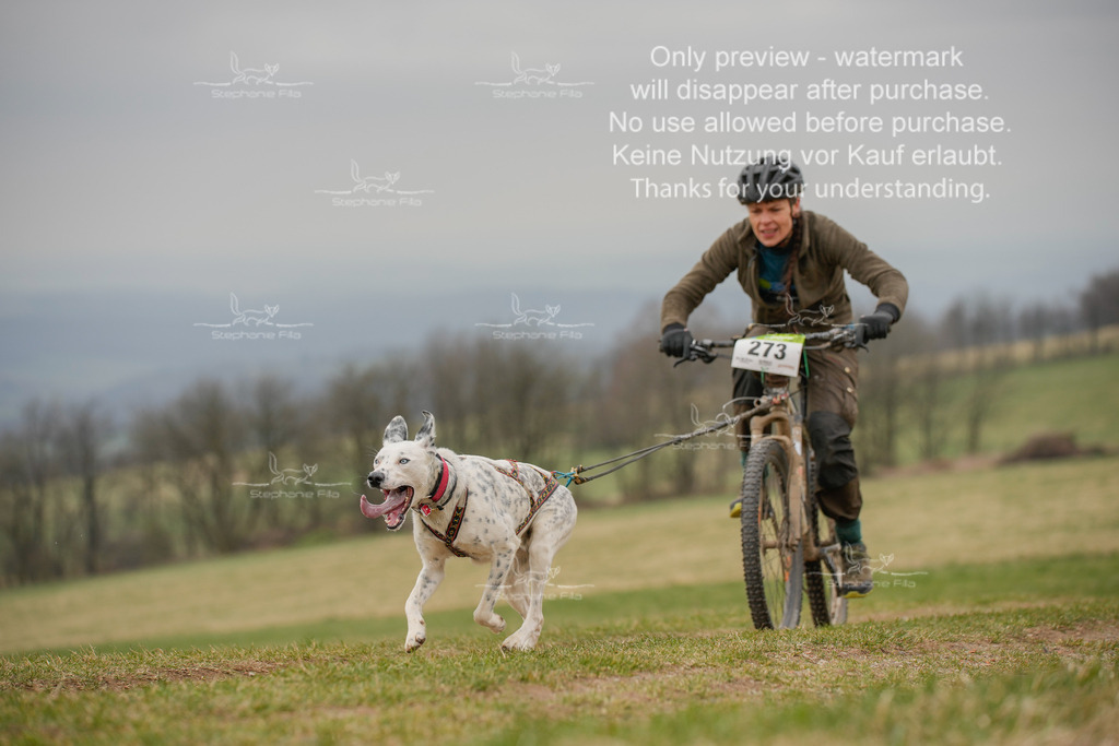 BikeSA-389 | stephaniefillaphotographie - Realisiert mit Pictrs.com