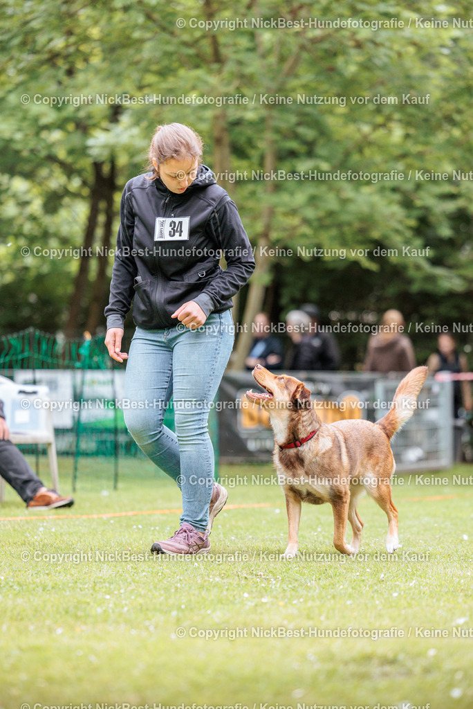 RO-Blumenthal-2026-Nickbest-Hundefotografie-2802 | Dein Hund! Dein Moment! Deine Erinnerungen! Hundefotografie in Bremen Blumenthal. Ich fange die besonderen Momente deines Vierbeiners ein – ob Indoor mit Blitzanlage oder in der freien Natur. Sicher dir dein Moment und dein Termin für eure Erinnerungen.