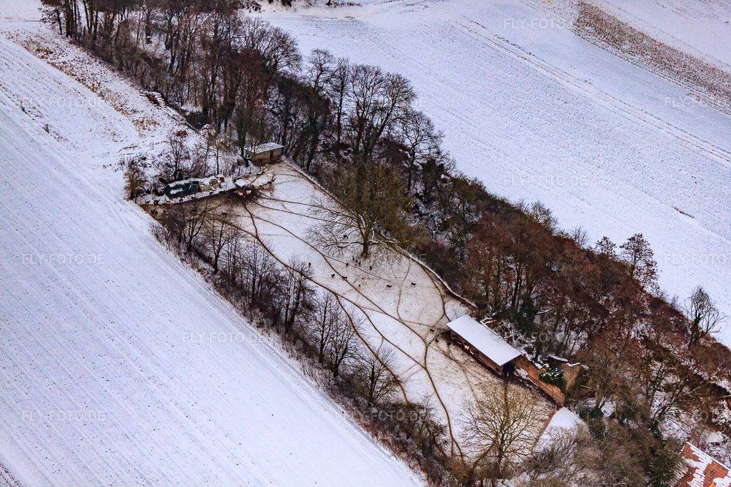 Luftbild: Wildgehege am Gasthaus zur Brauerei bei Schnee in Freckenfeld im Bundesland Rheinland-Pfalz in Deutschland. Foto: IMG_23611.jpg vom 16.01.2010 durch Werner Riehm/FLY-FOTO.de