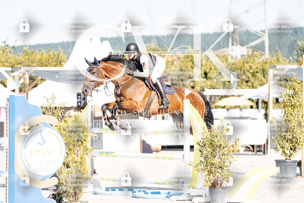 CK904580 | Turnierfotografie Pferdefotografie Trier Rheinland-Pfalz Pferdesport Reitsport Tierfotografie Sportfotografie Pferdevideo Pferdevideografie Equestrianvideography equestrianphotography  - Realisiert mit Pictrs.com