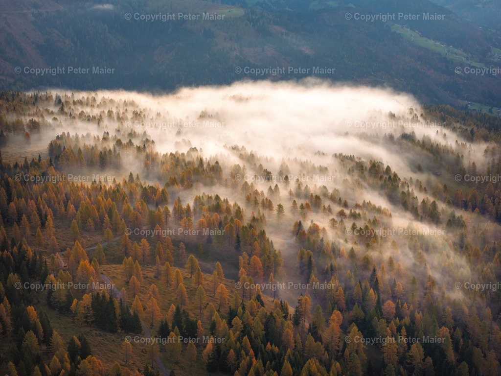 Lesachtal_Herbst-45 | default