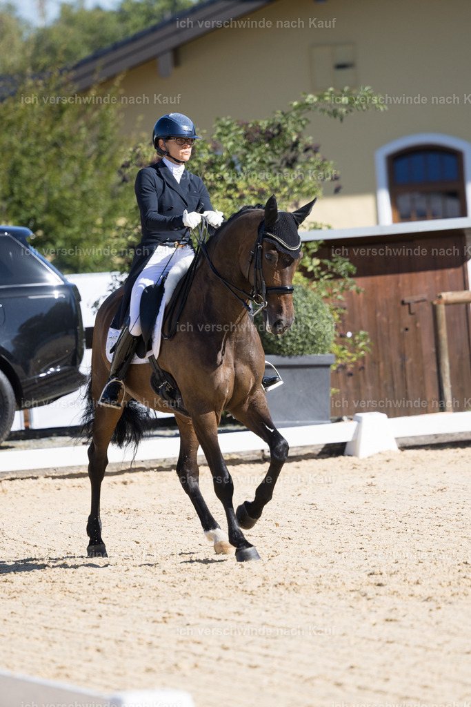 FHC2026_P07_239_17692 | working equitationturnier fotograf videograf stoibphotography marixx film working equitation deutschland reitsport turnierfotografie eventfotografie equestrian events