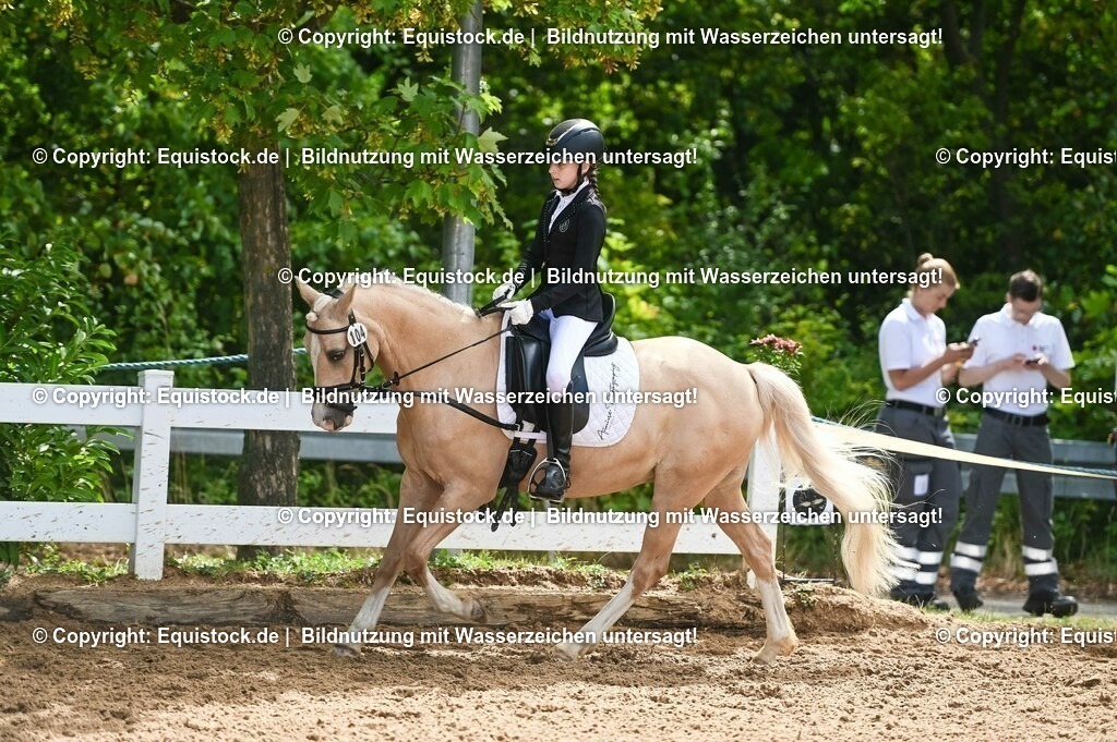 20230716_10-3_Reiter-WB Schritt - Trab - Galopp_0112 | equistock