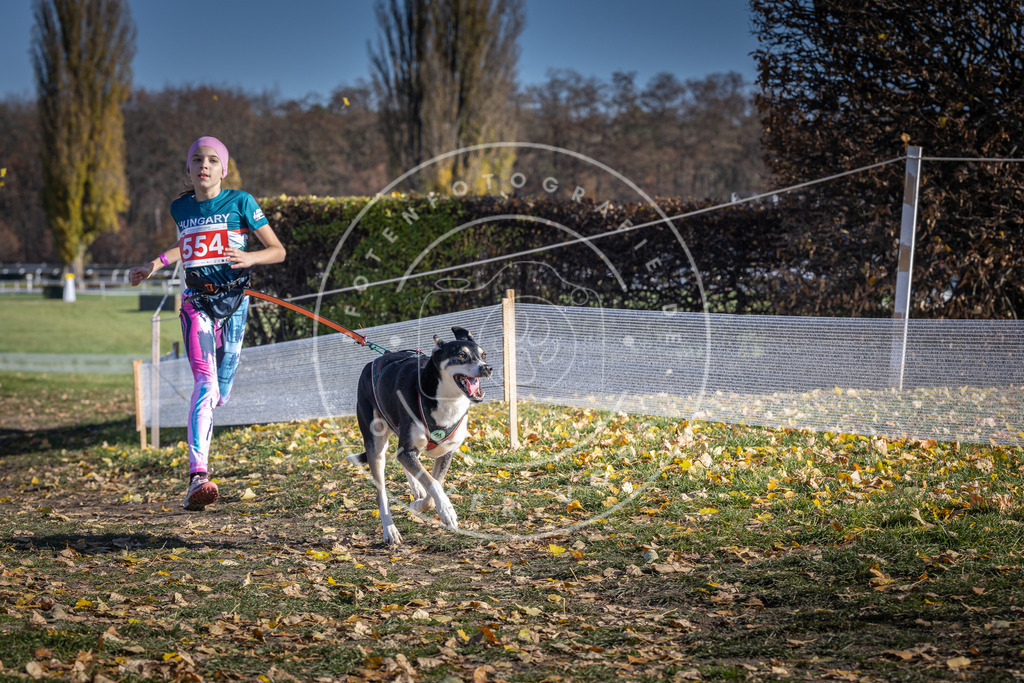 CaniXpix_DV3A8572 | Hundefotografie, Tierfotograf, Pfotenfotografie, Fotoshooting Hund, Hunde Portrait, Hundesport, Hundeportraits, Heideshooting, Hunde, Sportfotograf, Hundefotograf, Turnierhundsport, THS,  - Realisiert mit Pictrs.com
