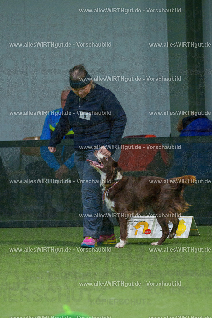 7R500060 | Professionelle Tierfotografie in Mönchengladbach von Daniel Wirth (allesWIRTHgut). Liebevolle & natürliche Bilder von Hunden & Katzen für unvergessliche Erinnerungen.