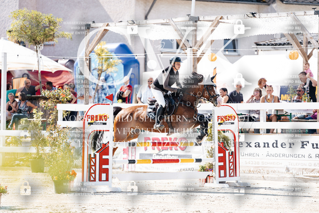CK908344 | Turnierfotografie Pferdefotografie Trier Rheinland-Pfalz Pferdesport Reitsport Tierfotografie Sportfotografie Pferdevideo Pferdevideografie Equestrianvideography equestrianphotography  - Realisiert mit Pictrs.com