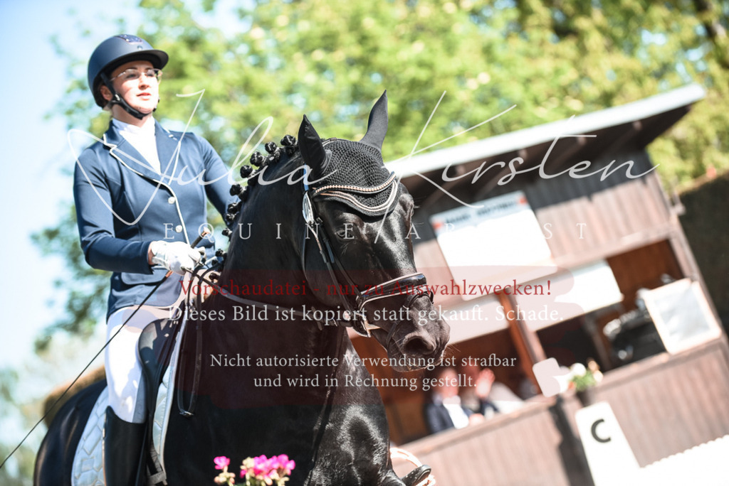 DSC_8489 | Pferde- und Turnierfotografie in Westsachsen. Pferdeportraits, Auftragszeichnungen und intuitive Kunst.