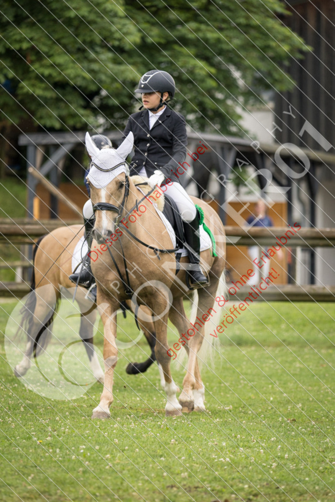 IMG_1976 | Sport-, Event- und Tierfotos in Profiqualität. Einfach auswählen, bestellen und herunterladen. Dein Moment – perfekt festgehalten.