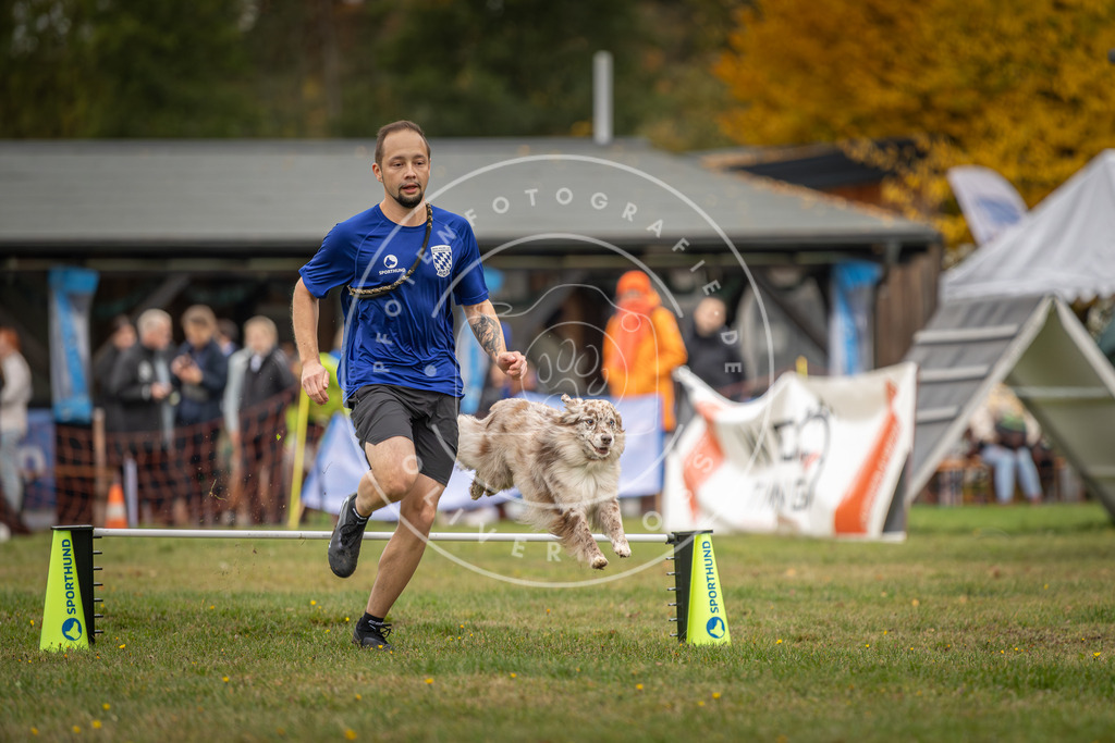 Pfotenfotografie_DV3A5025 | Hundefotografie, Tierfotograf, Pfotenfotografie, Fotoshooting Hund, Hunde Portrait, Hundesport, Hundeportraits, Heideshooting, Hunde, Sportfotograf, Hundefotograf, Turnierhundsport, THS,  - Realisiert mit Pictrs.com