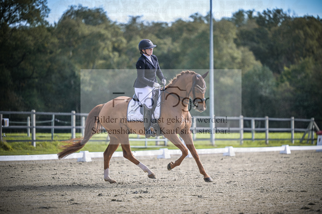 DOS_1227 | Entdecke hochwertige Reitturnierfotos von Foto Oger. Professionell, emotional und authentisch – jetzt Lieblingsmomente im Shop bestellen.Deutschlandweite Turnierfotografie. - Realisiert mit Pictrs.com