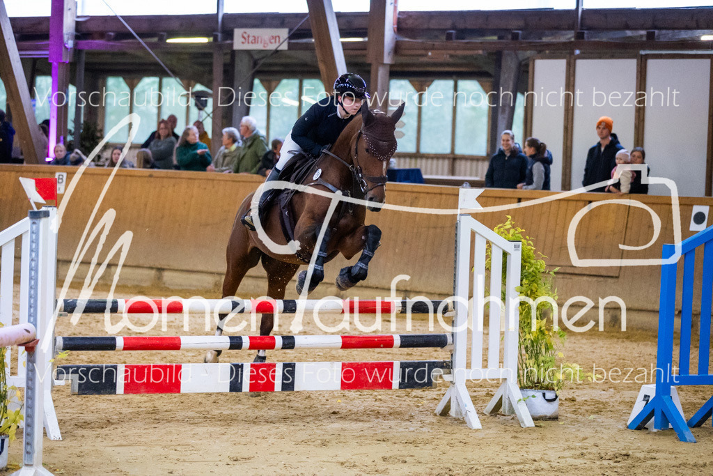 Sth-A-Spr.m.st.A.-030 | MomenTaufnahmen Pferdesportfotos