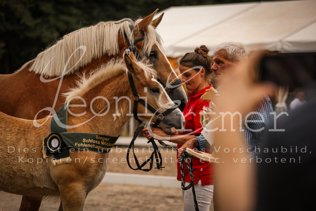 SaHF00154 | Leoni Ertmer Photography - Realisiert mit Pictrs.com