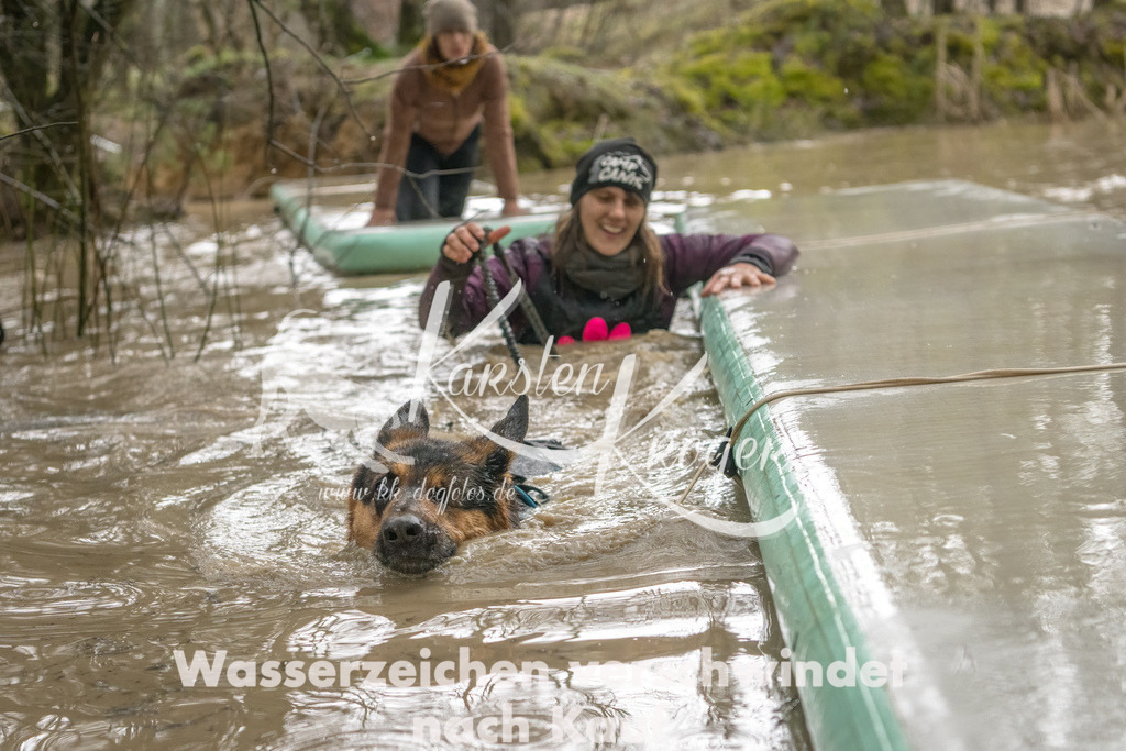 1302_ZZ94105-Bearbeitet | kk-dogfotos