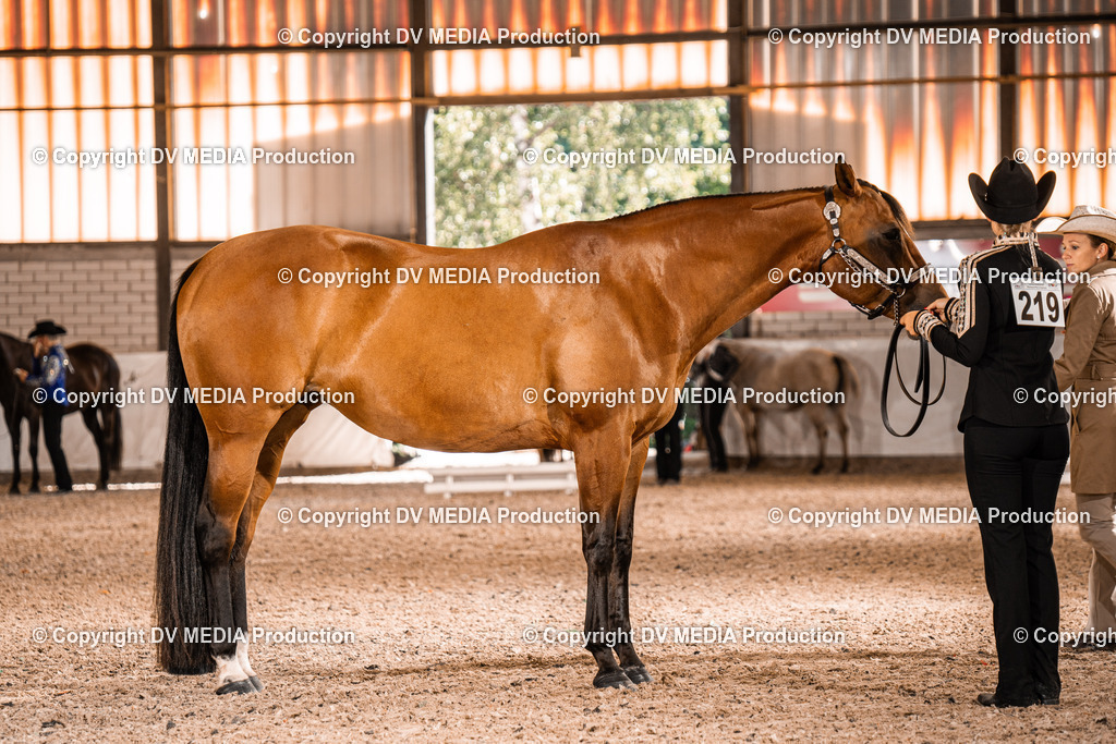 ZH100054 | dv-media-shop - Realisiert mit Pictrs.com