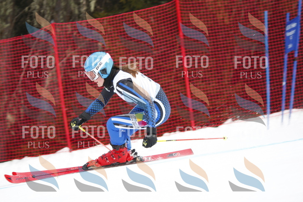 D4954 | holidayphoto