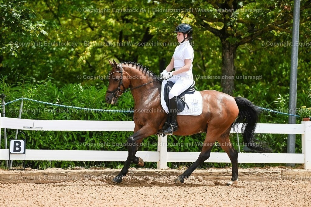 20230715_05_Dressurprüfung Kl.A++_0039 | equistock
