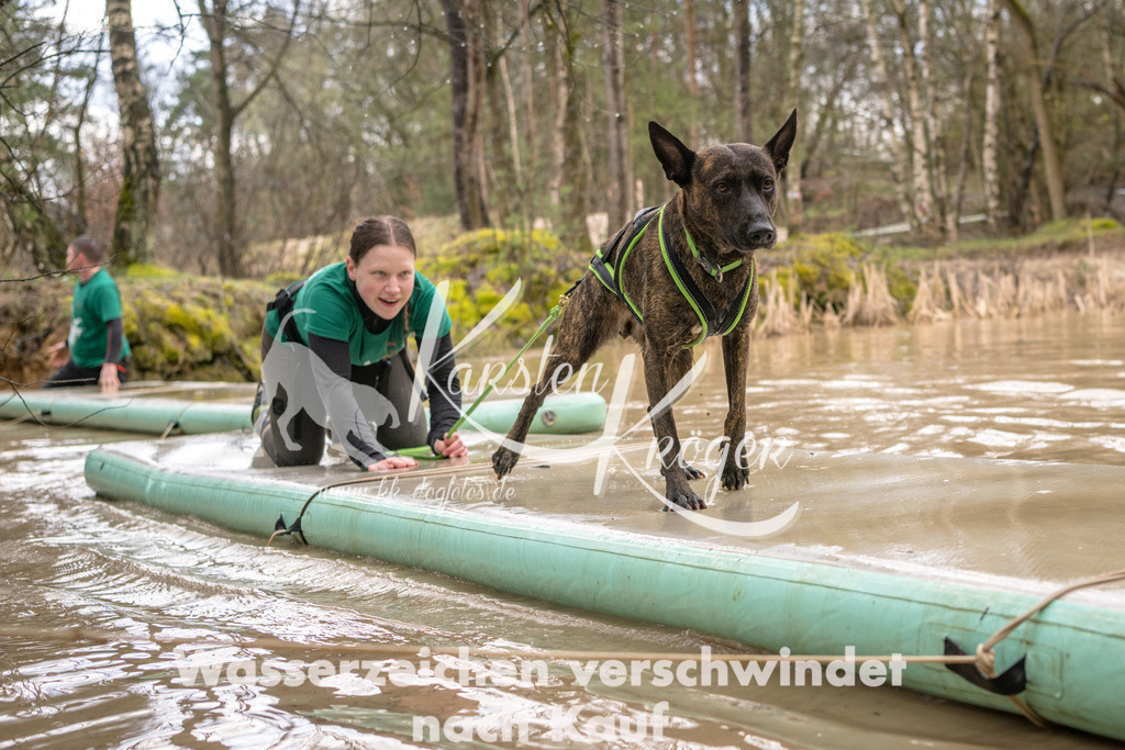 1309_ZZ94586 | kk-dogfotos