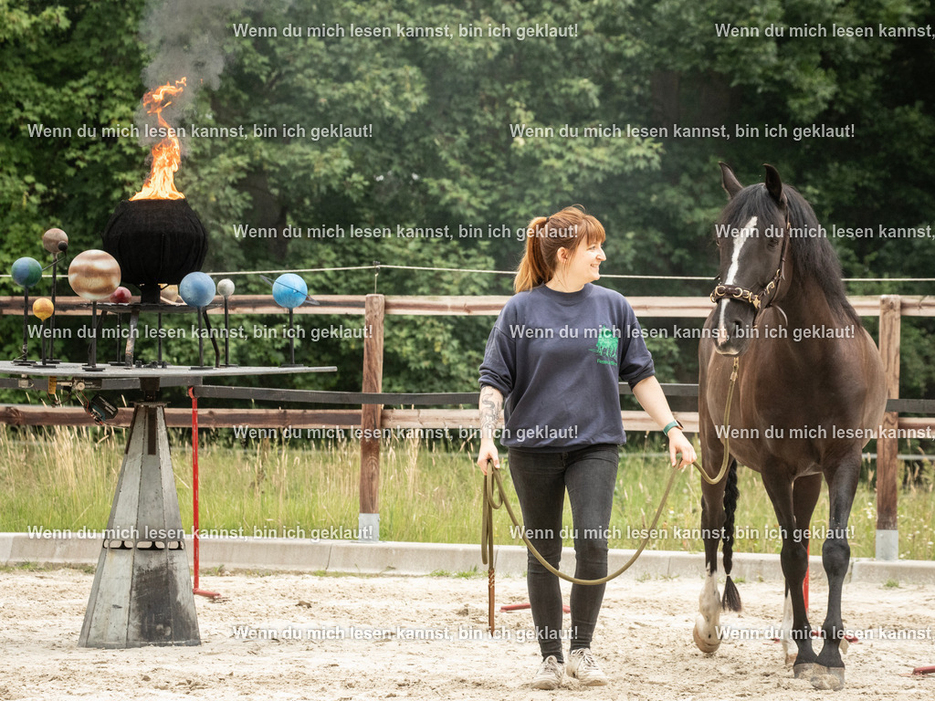 598A8247 | photographylinaismer - Realisiert mit Pictrs.com