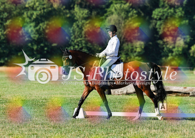 20260628_14a_VA_Dressur-30 | JS-Photostyle - Sport-/Portrait- & Eventfotografie