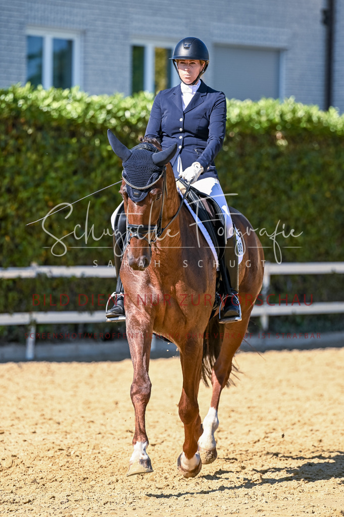 Schugtsche-Aluta25-50.Dressurpferdeprf.L-214 | Schugtsche Fotografie - Realisiert mit Pictrs.com