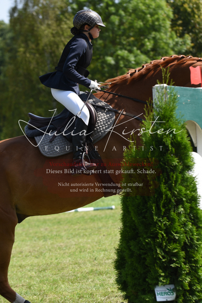 DSC_0084 | Pferde- und Turnierfotografie in Westsachsen. Pferdeportraits, Auftragszeichnungen und intuitive Kunst.