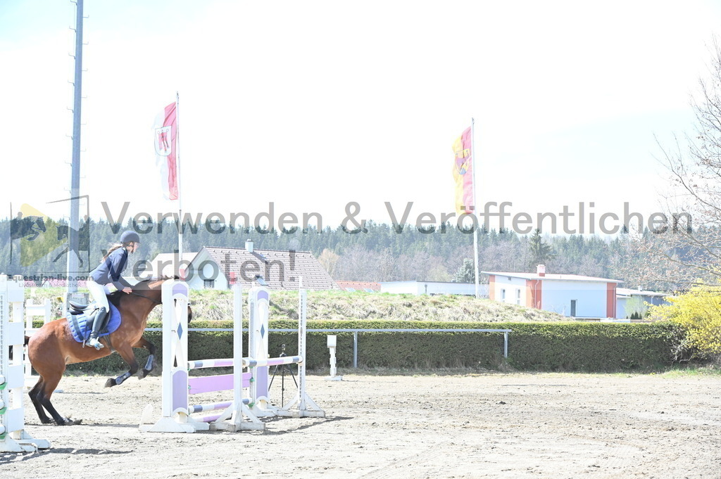 DSC_4803 | equestrian-live-com