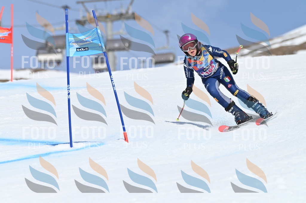 BGV_0336 | holidayphoto