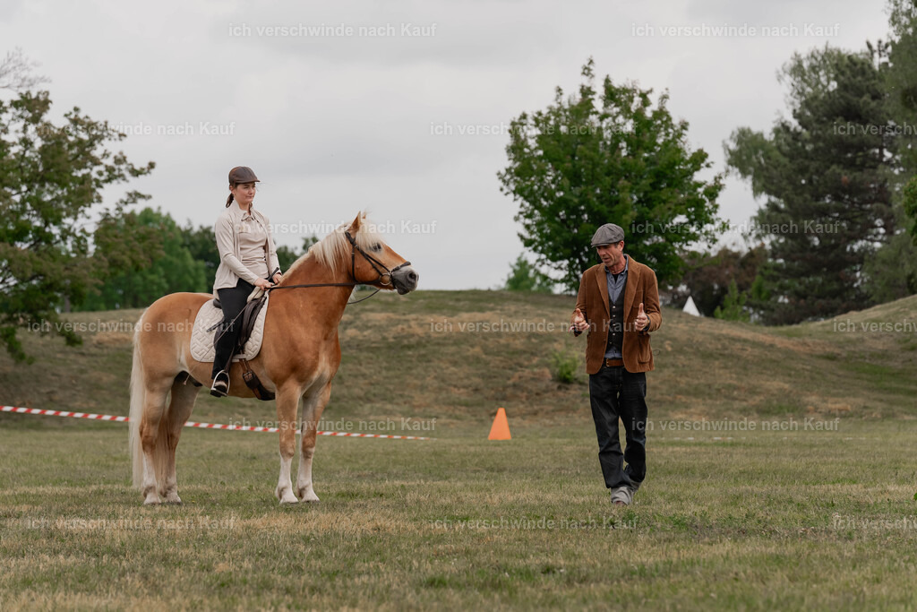 Showprogramm-51 | working equitationturnier fotograf videograf stoibphotography marixx film working equitation deutschland reitsport turnierfotografie eventfotografie equestrian events