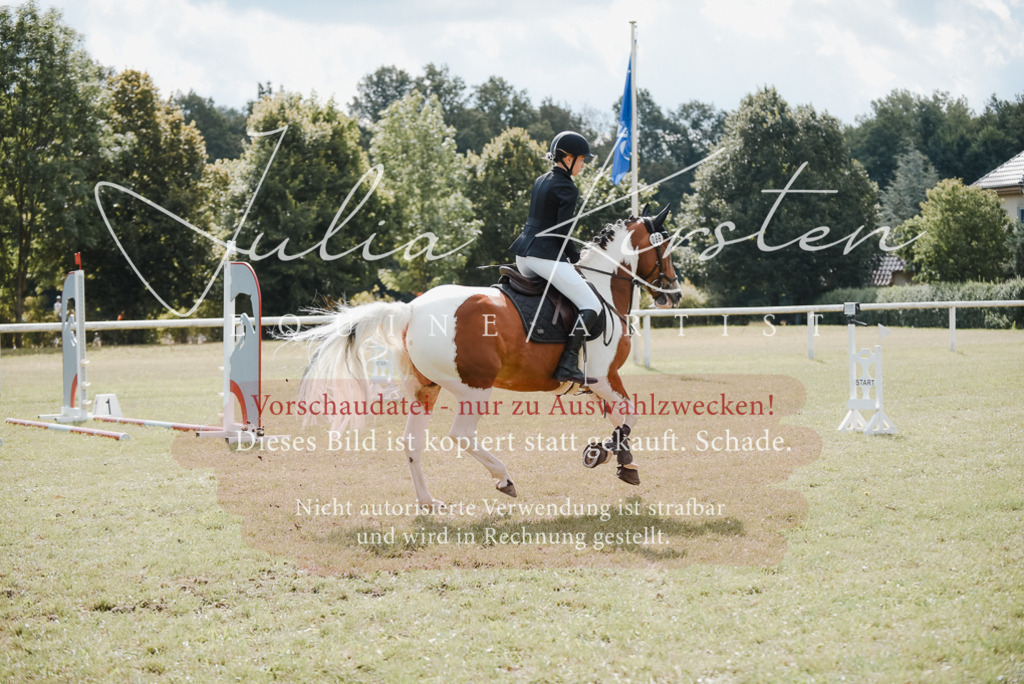 DSC_5454 | Pferde- und Turnierfotografie in Westsachsen. Pferdeportraits, Auftragszeichnungen und intuitive Kunst.