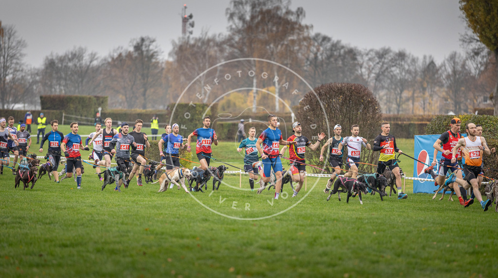 CaniXpix_DV3A9441 | Hundefotografie, Tierfotograf, Pfotenfotografie, Fotoshooting Hund, Hunde Portrait, Hundesport, Hundeportraits, Heideshooting, Hunde, Sportfotograf, Hundefotograf, Turnierhundsport, THS,  - Realisiert mit Pictrs.com