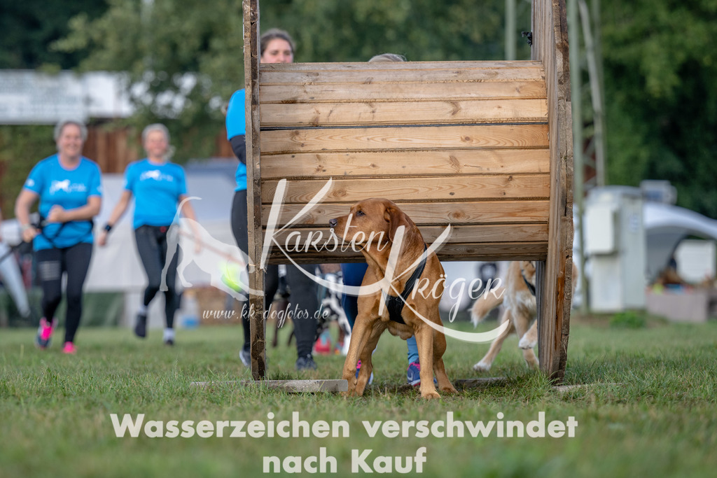 1013_ZZ91836 | kk-dogfotos