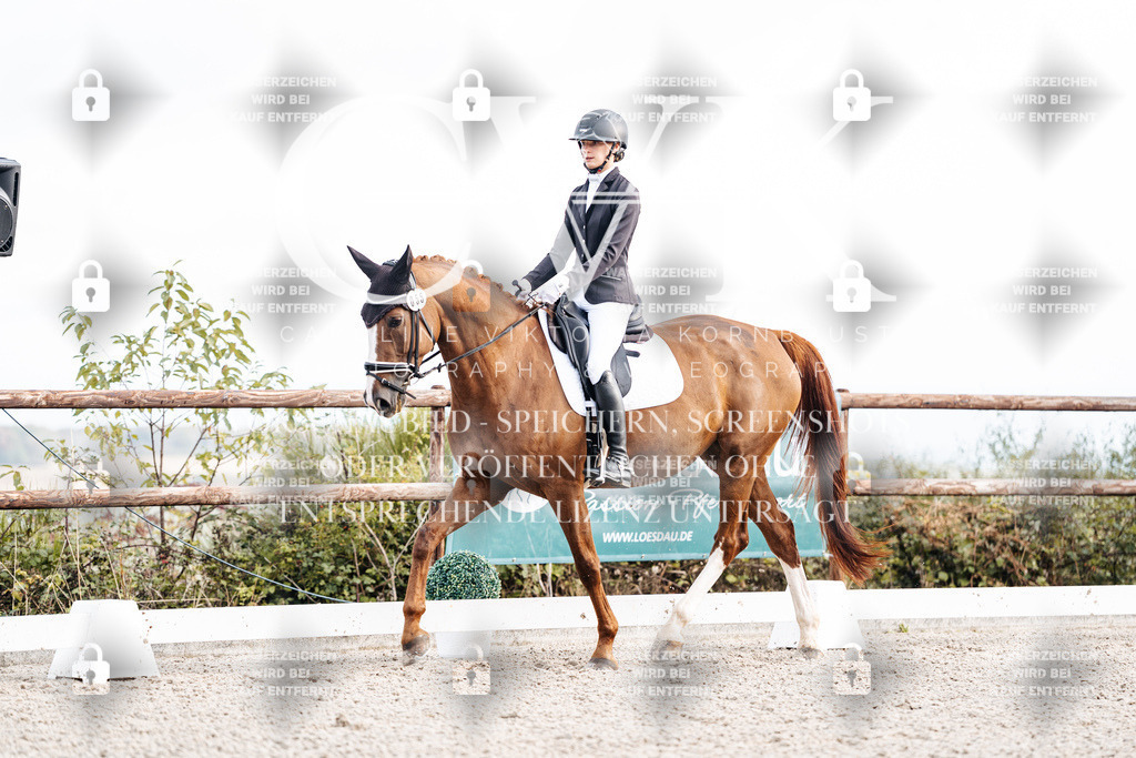 CK900576 | Turnierfotografie Pferdefotografie Trier Rheinland-Pfalz Pferdesport Reitsport Tierfotografie Sportfotografie Pferdevideo Pferdevideografie Equestrianvideography equestrianphotography  - Realisiert mit Pictrs.com