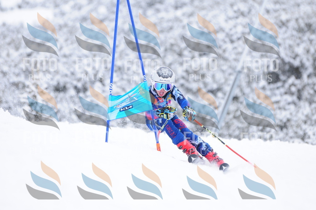 C4266 | holidayphoto