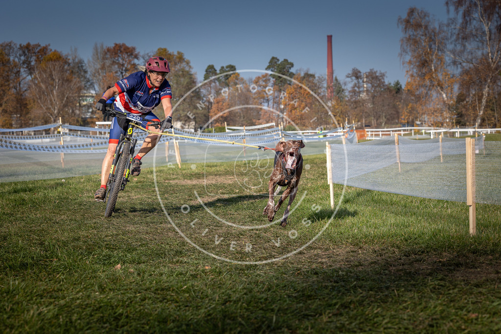 CaniXpix_0L8A7100 | Hundefotografie, Tierfotograf, Pfotenfotografie, Fotoshooting Hund, Hunde Portrait, Hundesport, Hundeportraits, Heideshooting, Hunde, Sportfotograf, Hundefotograf, Turnierhundsport, THS,  - Realisiert mit Pictrs.com