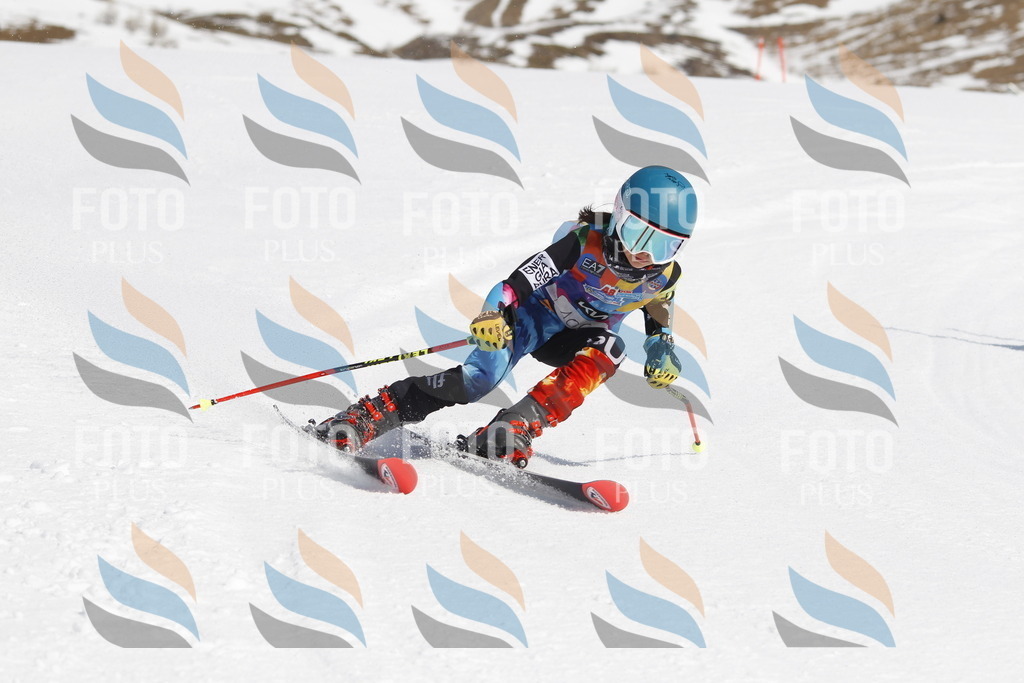 _U3G0421 | holidayphoto