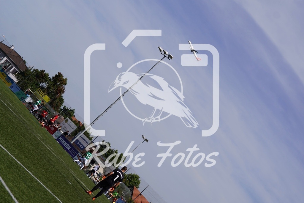 SON07739 | rabefotos