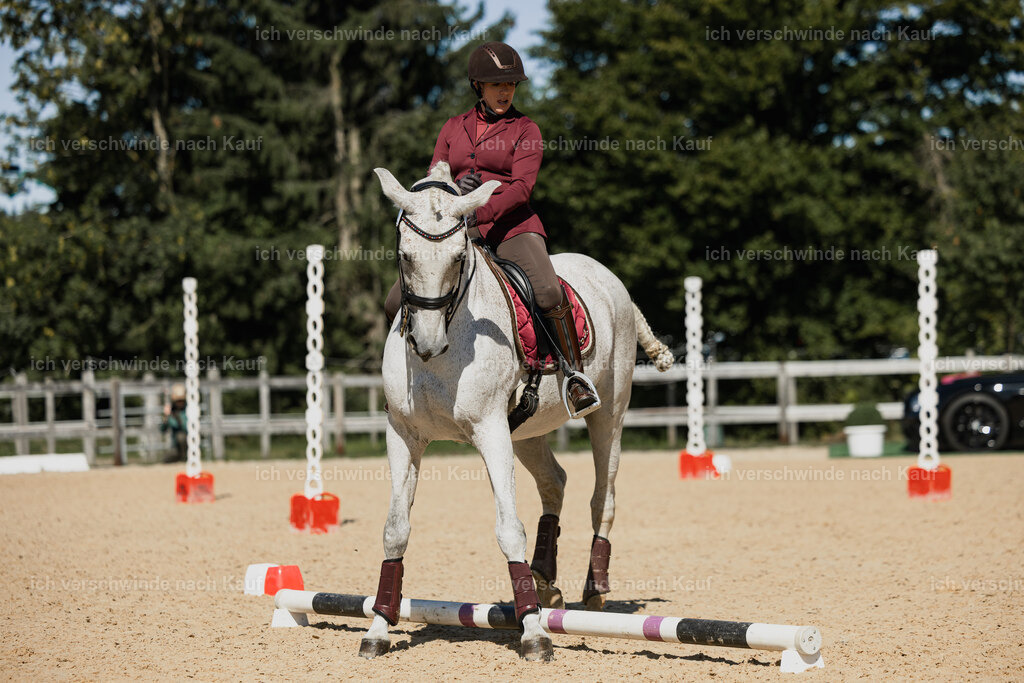 Kelly4_FHC2025-27443 | working equitationturnier fotograf videograf stoibphotography marixx film working equitation deutschland reitsport turnierfotografie eventfotografie equestrian events