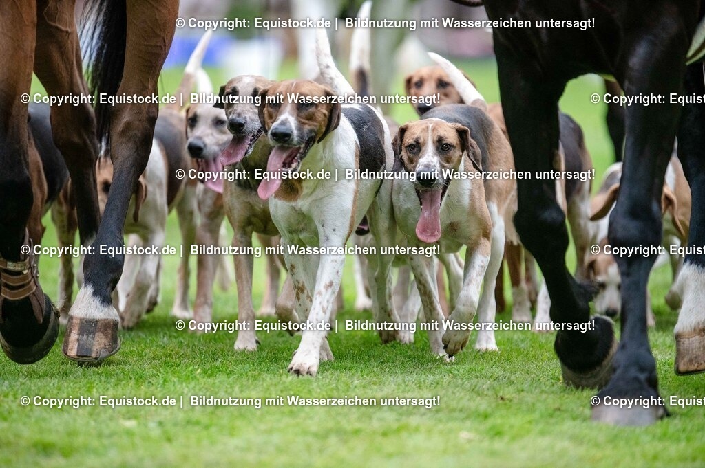 20250606_Lange-Pferdenacht_0537 | Foto: Thomas Hartig