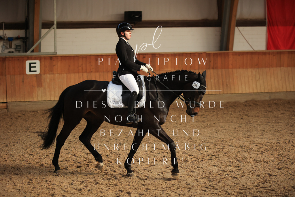 IMGT3722 | pl-fotografie