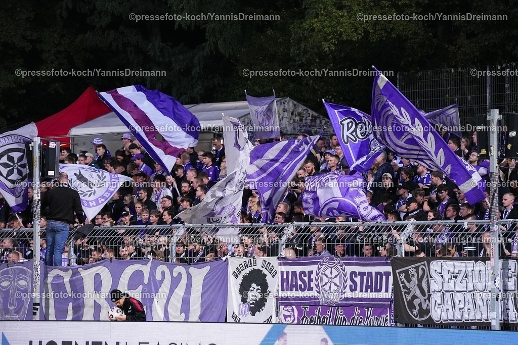 xYDR28092501168 | 28.09.2025, xydrx, Fußball, 3.Liga, Viktoria Köln - VFL Osnabrück, Saison 2025 2026, Sportpark Höhenberg: Fans vom VFL Osnabrück schwenken Fahnen  DFB regulations prohibit any use of photographs as image sequences and or quasi-video.