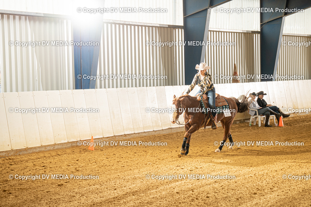 MIT00498 | dv-media-shop - Realisiert mit Pictrs.com