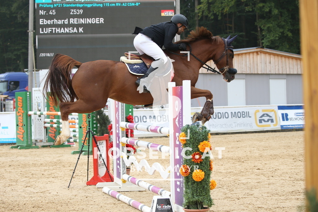 DL2Q3764 | Willkommen bei Brunnmayr - Design & Fotografie – Ihrem Spezialisten für Reitturniere und Pferdeveranstaltungen in Oberösterreich, Salzburg und Bayern! Seit über 17 Jahren sind wir leidenschaftlich dabei.